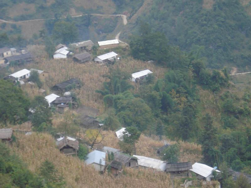子路葉村 子路葉村