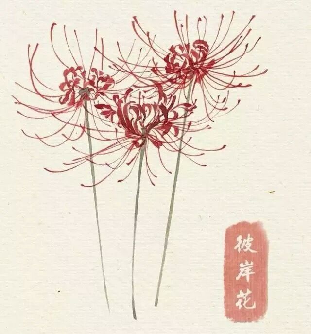 白華離歌 白華離歌