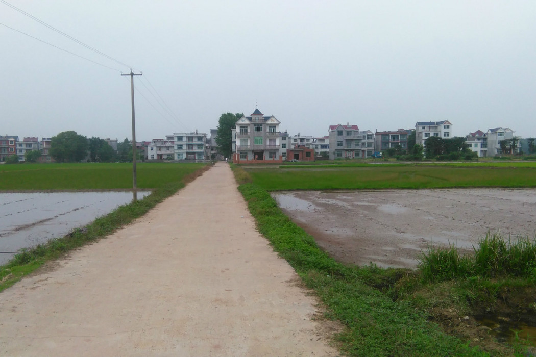 篙篁村 篙篁村