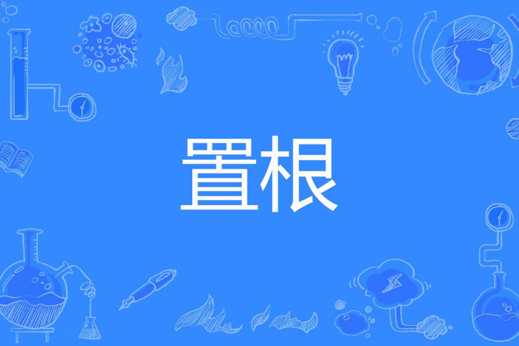 置根 置根