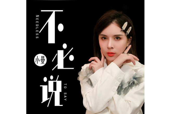 不必說(小曼演唱的歌曲) 不必說(小曼演唱的歌曲)