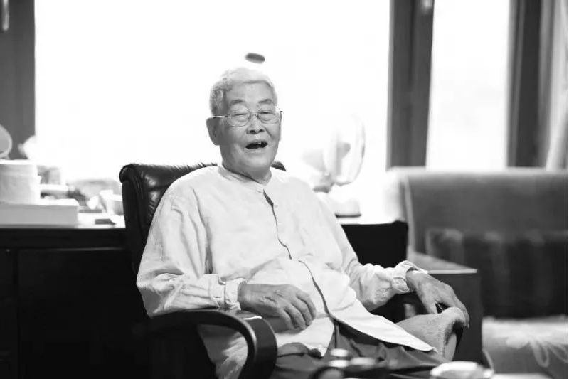 蘭鐵白 蘭鐵白