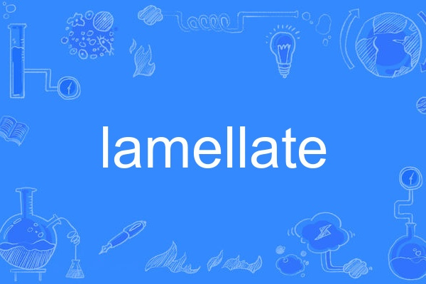 lamellate lamellate