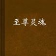 至尊靈魂 至尊靈魂