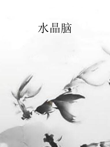 水晶腦 水晶腦