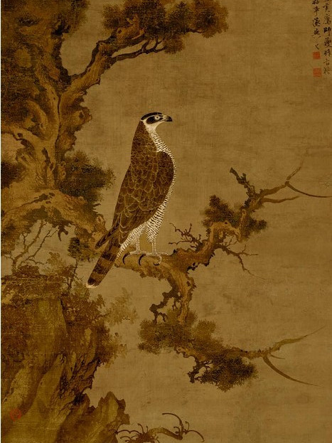柏鷹圖 柏鷹圖