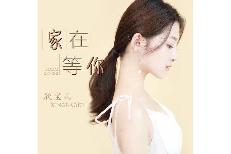 家在等你 家在等你