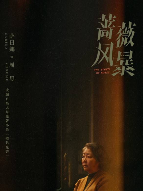 薔薇風暴(2024年惠楷棟執導的職場劇)
