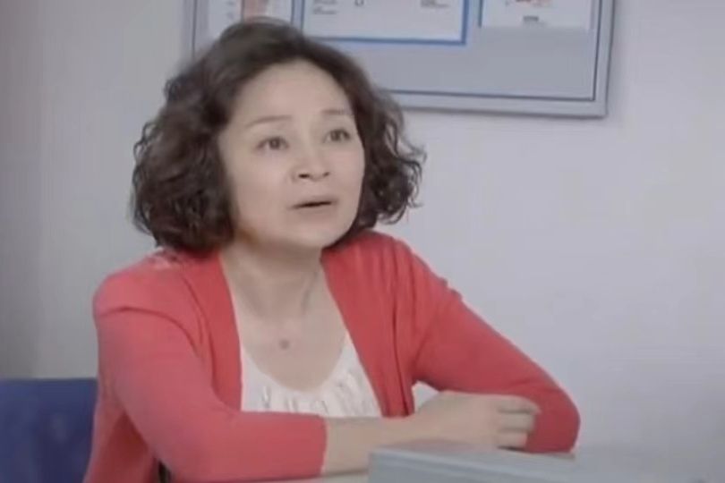 劉海棠(都市情感劇《婆婆也是媽》中的角色) 劉海棠(都市情感劇《婆婆也是媽》中的角色)