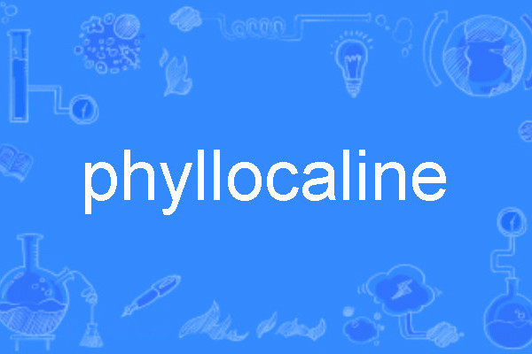 phyllocaline phyllocaline