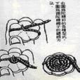 鐵陀螺 鐵陀螺