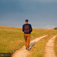 walk(英文單詞) walk(英文單詞)