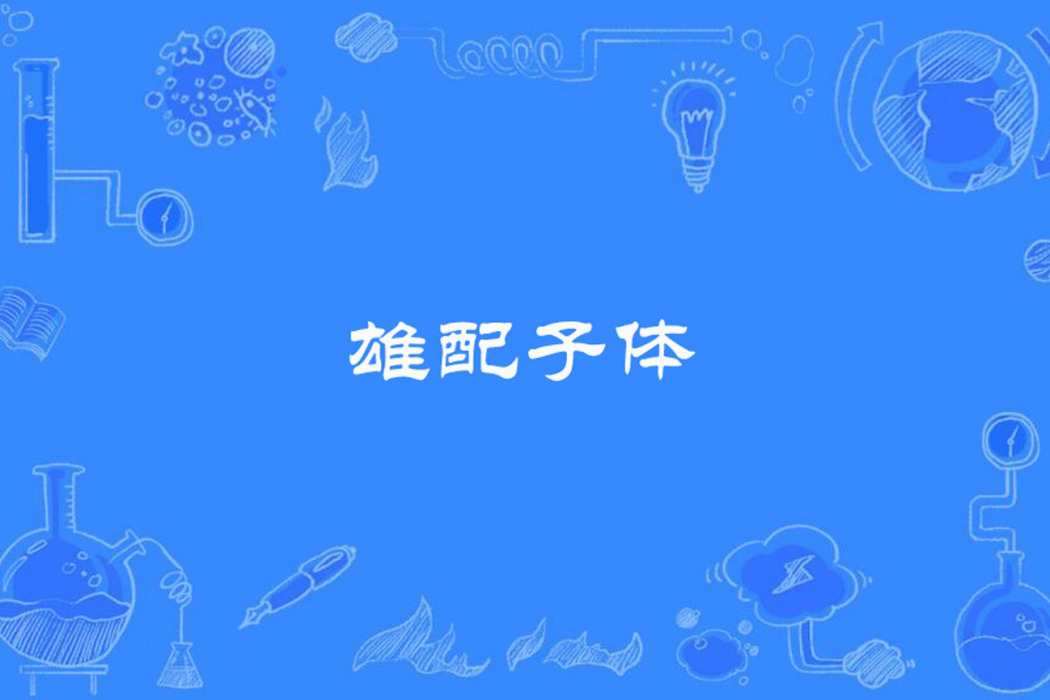 雄配子體 雄配子體