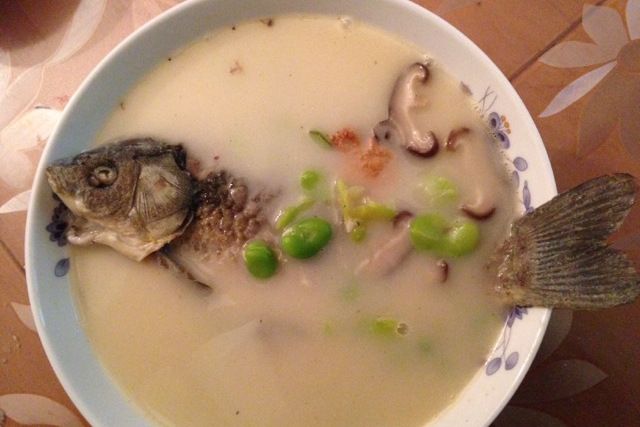 蠶豆鯽魚湯 蠶豆鯽魚湯