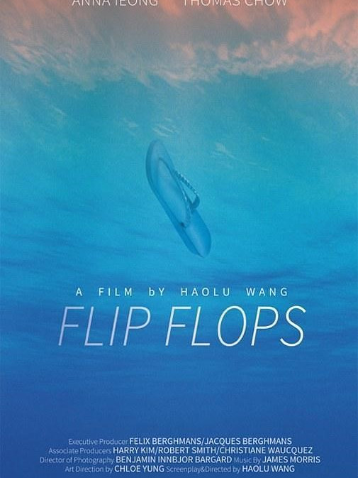 Flip Flops Flip Flops