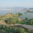 長江新螺段白鱀豚國家級自然保護區