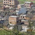 楚江村(湖南省郴州市臨武縣楚江鄉下轄村) 楚江村(湖南省郴州市臨武縣楚江鄉下轄村)