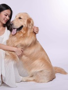 靈犬奇緣 靈犬奇緣