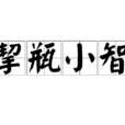 挈瓶小智 挈瓶小智