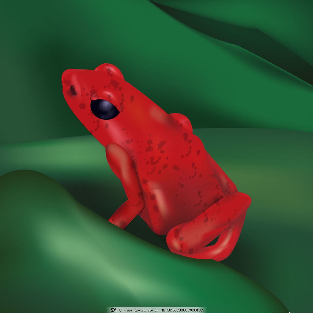 紅青蛙