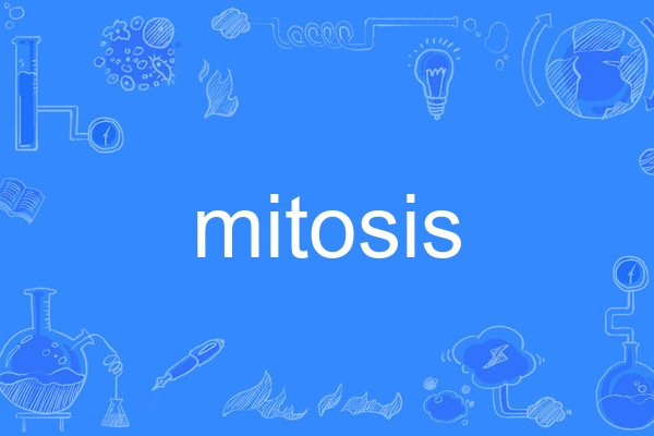 mitosis mitosis