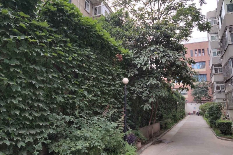 紅纓路117 紅纓路117