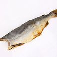 馬哈魚