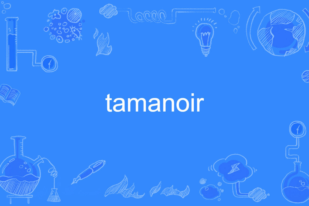tamanoir tamanoir