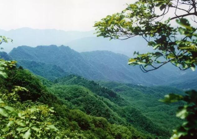 高樂山國家級自然保護區