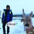 雪泥馬 雪泥馬