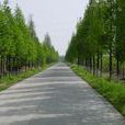 公路工程(公路建築管理術語) 公路工程(公路建築管理術語)