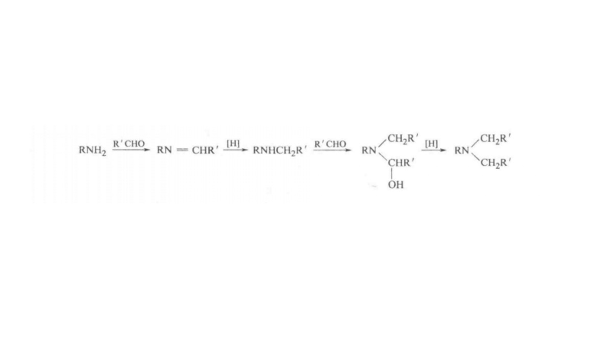 N-烷基化