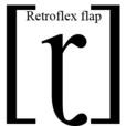 捲舌閃音 捲舌閃音