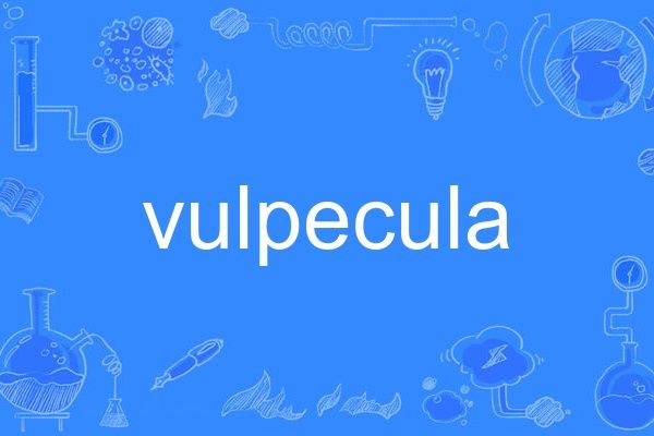 vulpecula vulpecula