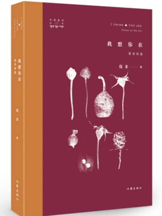 我想你在 我想你在