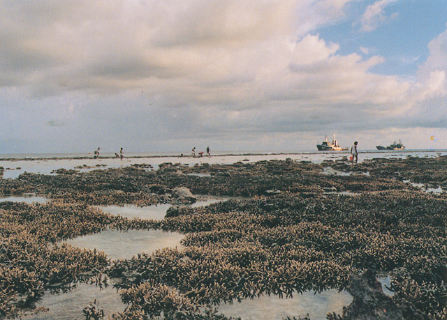 落潮後露出水面的南沙永暑礁