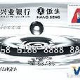 興業銀行VISA標準白金卡