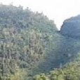 雙秀峰(江西省贛州市大余縣丫山森林公園東北部山峰) 雙秀峰(江西省贛州市大余縣丫山森林公園東北部山峰)