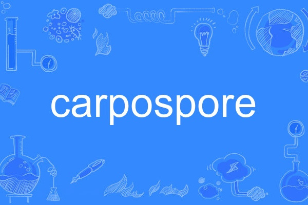 carpospore carpospore