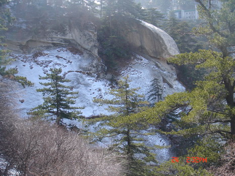 中華山國家森林公園