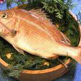 紅鯛魚 紅鯛魚