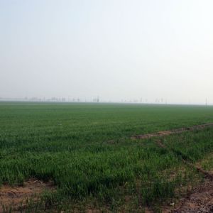華北平原(黃淮海平原)