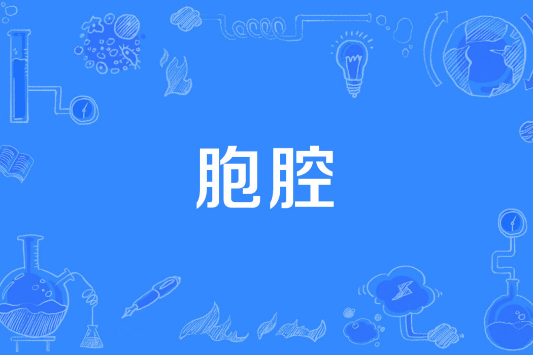 胞腔 胞腔