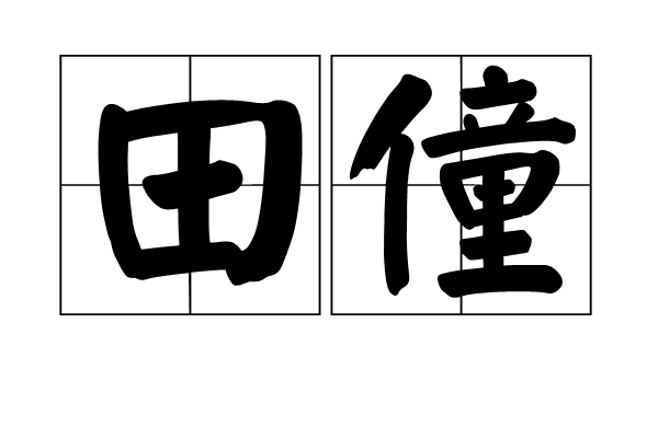 田僮 田僮