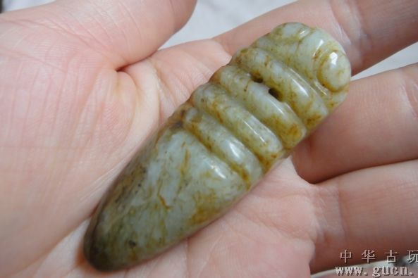 玉種蠶 玉種蠶