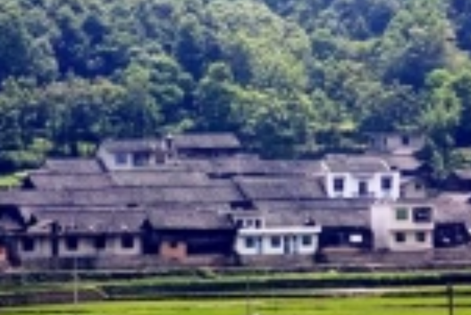 水眼坪村 水眼坪村