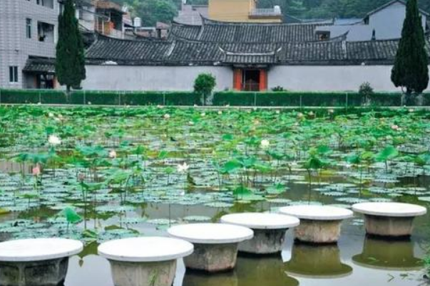 蓮宅村(自然村) 蓮宅村(自然村)