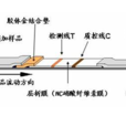 免疫膠體金