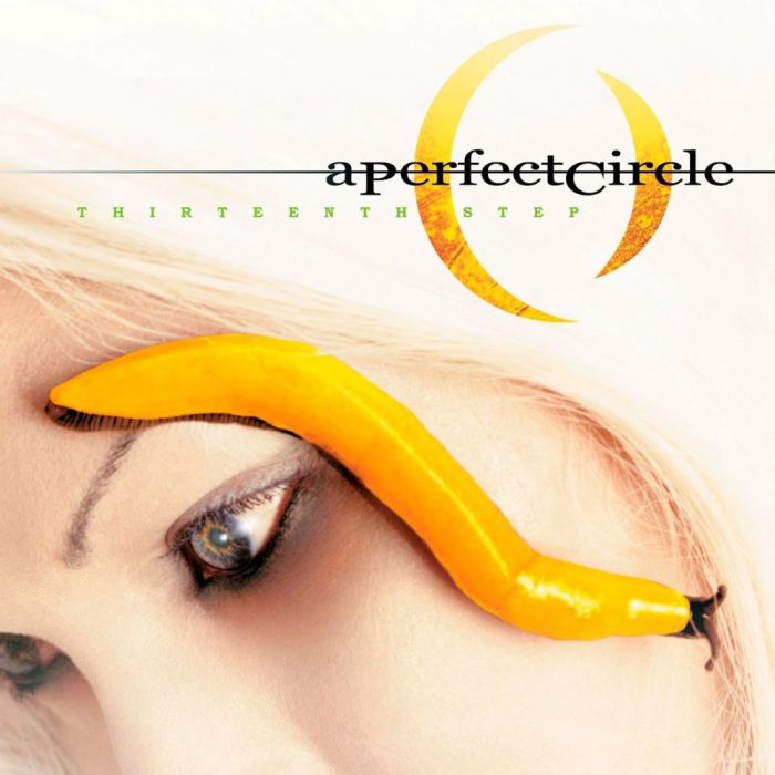 Thirteenth Step Thirteenth Step