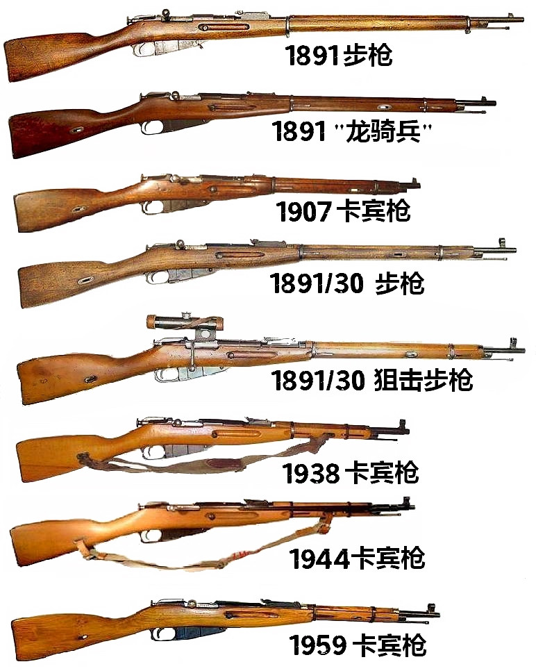 莫辛-納甘系列步槍